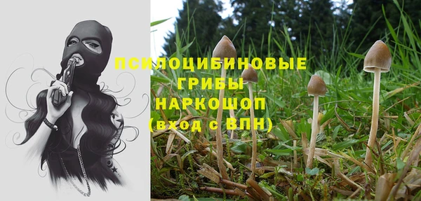 spice Балахна