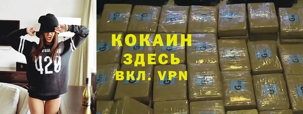 PSILOCYBIN Рославль