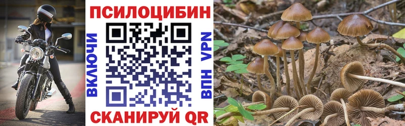 мориарти формула Вуктыл Псилоцибиновые грибы GOLDEN TEACHER
